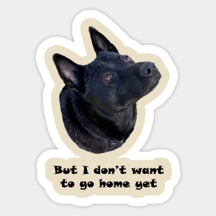 Dog Lover - I Don't Want to Go Home Yet Sticker